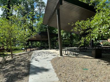 Museum of Arts & Sciences